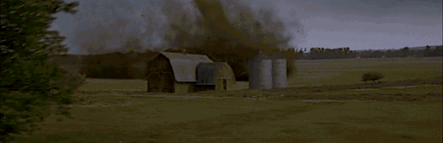 tumblr_mlglfiCIbB1qjnz97o2_500