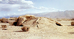 tumblr_mpezk3WPXk1rob81ao4_r1_250