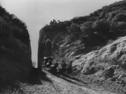 tumblr_msn4omuaCS1s852lfo7_250