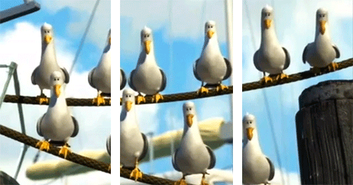 48694-finding-nemo-seagulls-gif-snRh
