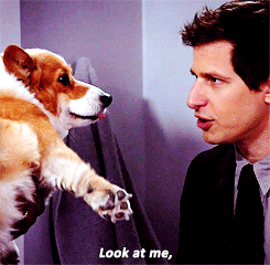 tumblr_n0iflgaJvX1sm8qcpo1_r1_250