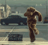 dancing bear