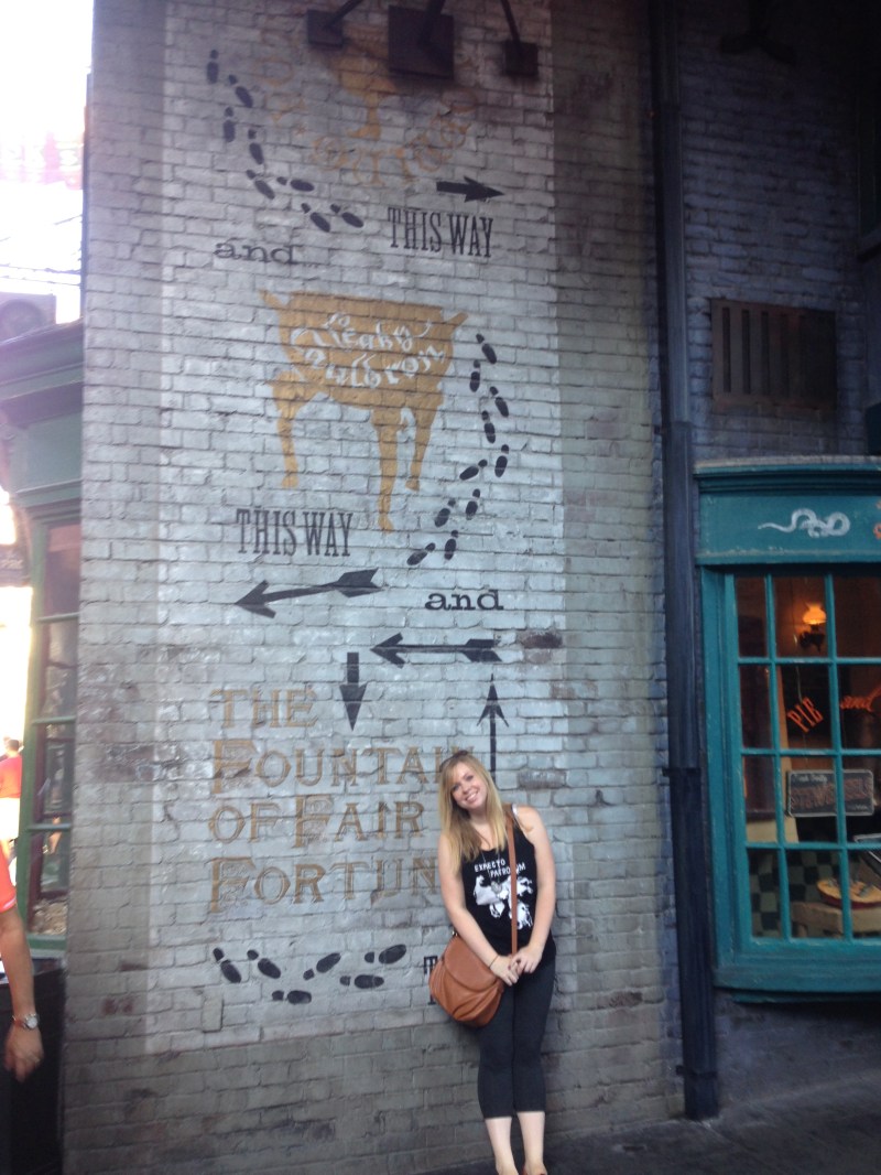 Harry Potter World Tracy Lynn Combs